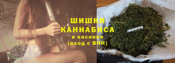 эйфоретик Пересвет