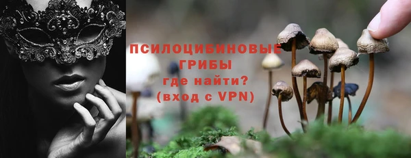 эйфоретик Пересвет