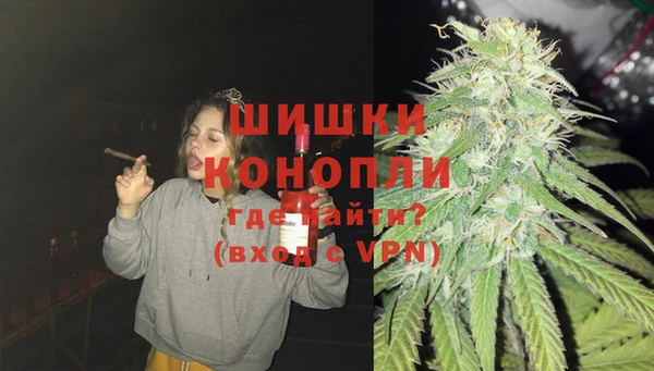 эйфоретик Пересвет