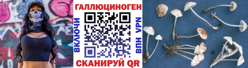 Галлюциногенные грибы ЛСД  Шумерля 